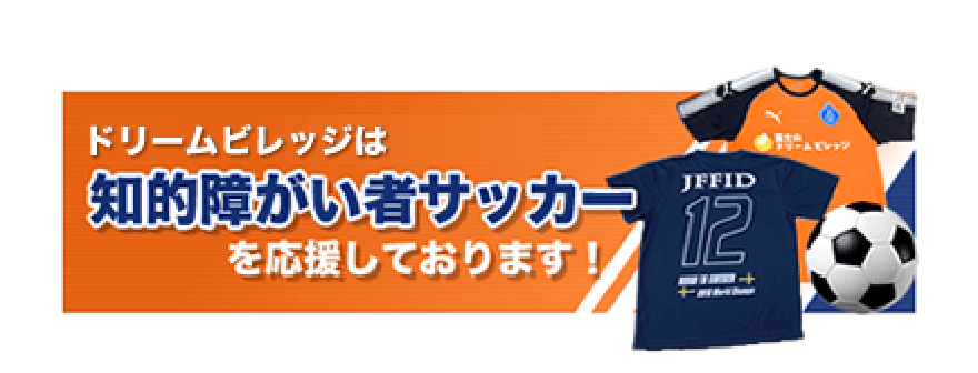 NPO法人 静岡県知的障がい者サッカー連盟